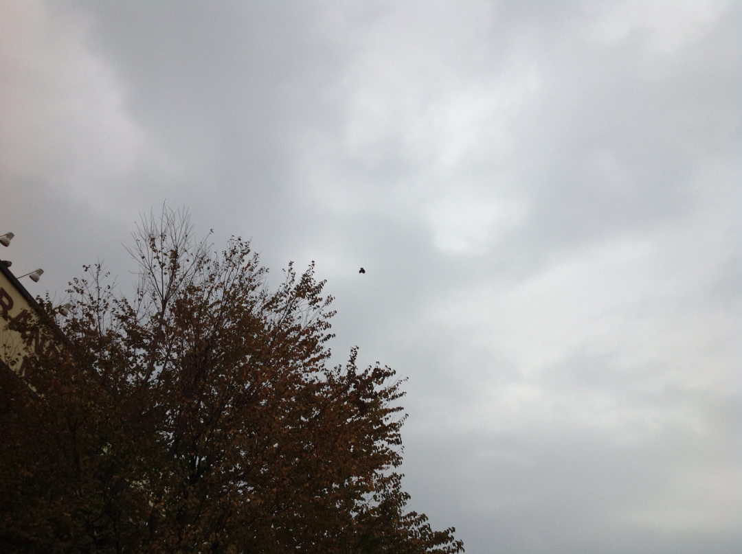 リアルタイム速報！！