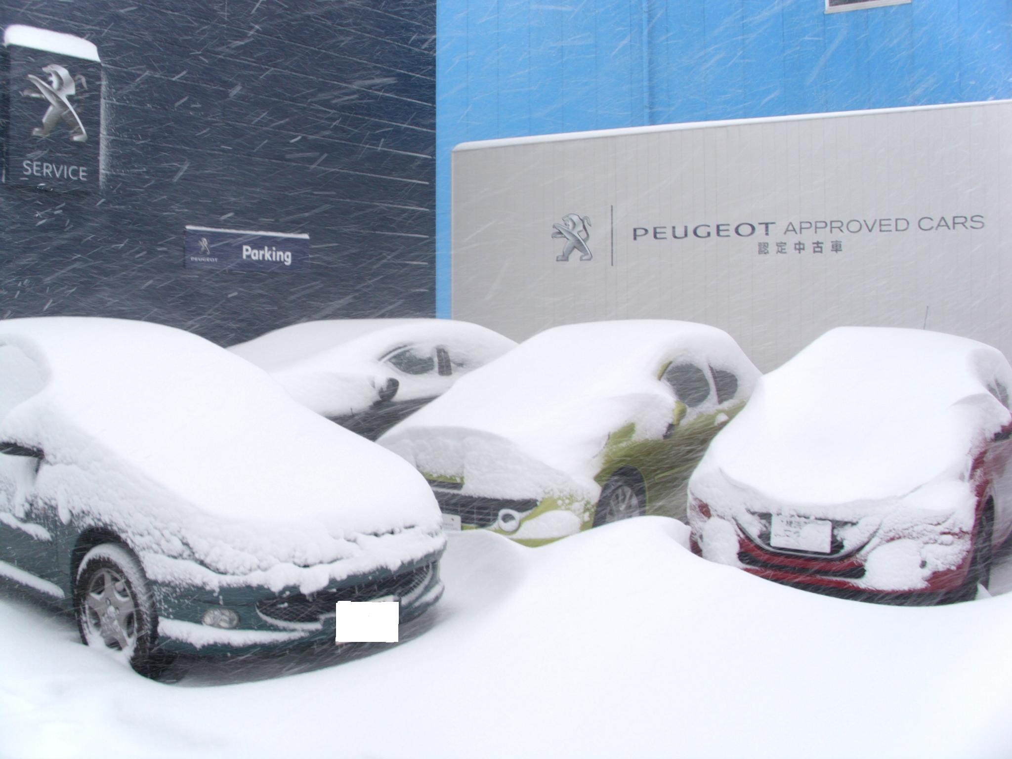 臨時休業のお知らせ