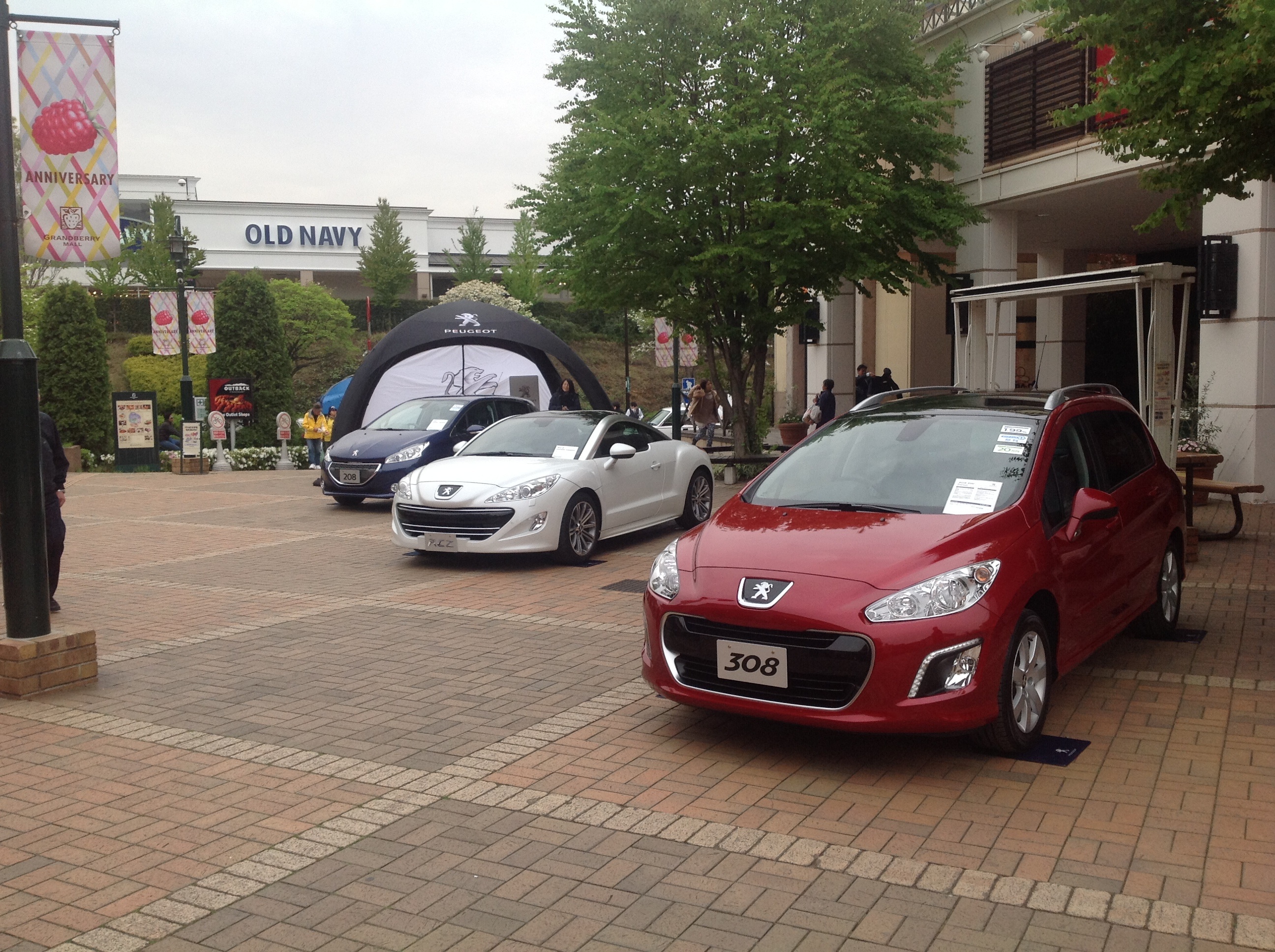 今日はポカポカ陽気！明日は・・・？