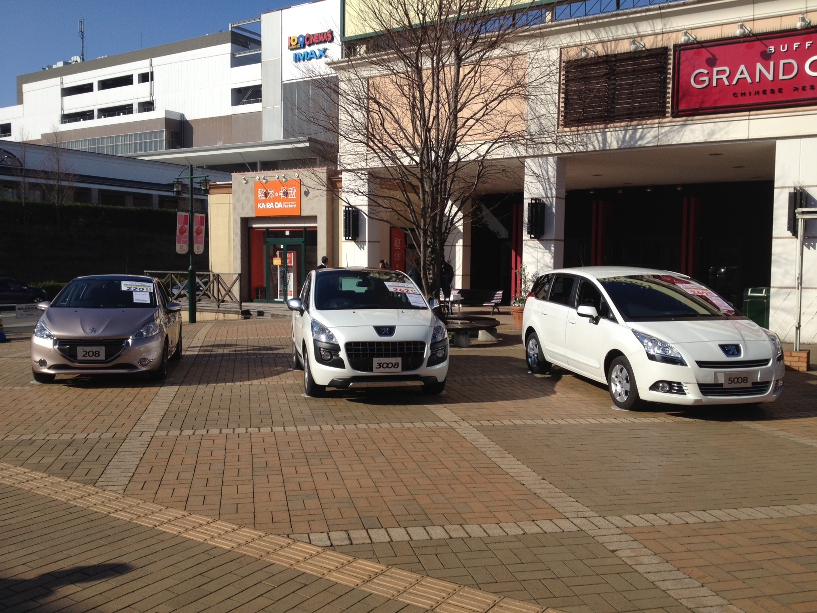 雪が降りませんよーに！