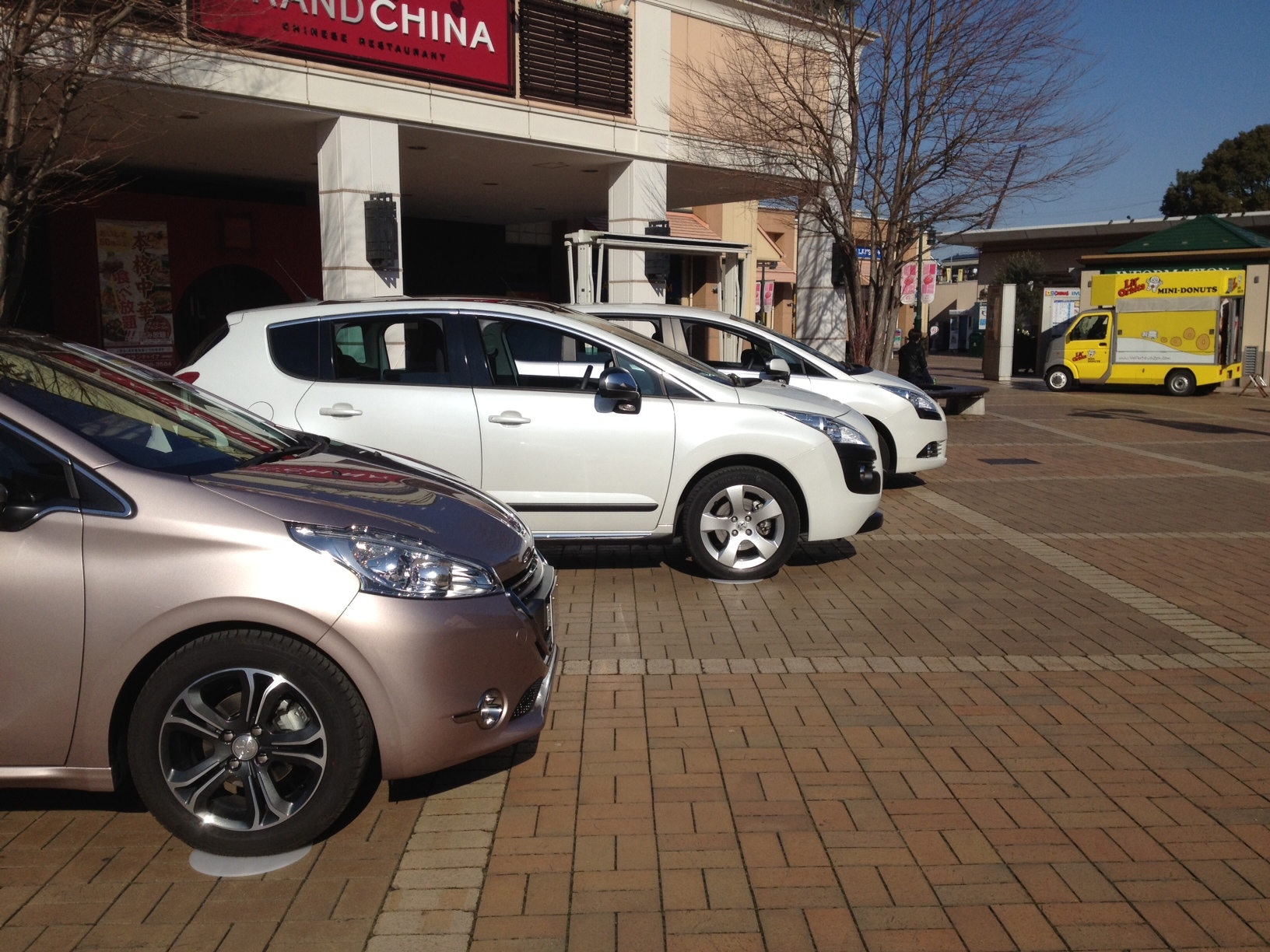 雪が降りませんよーに！