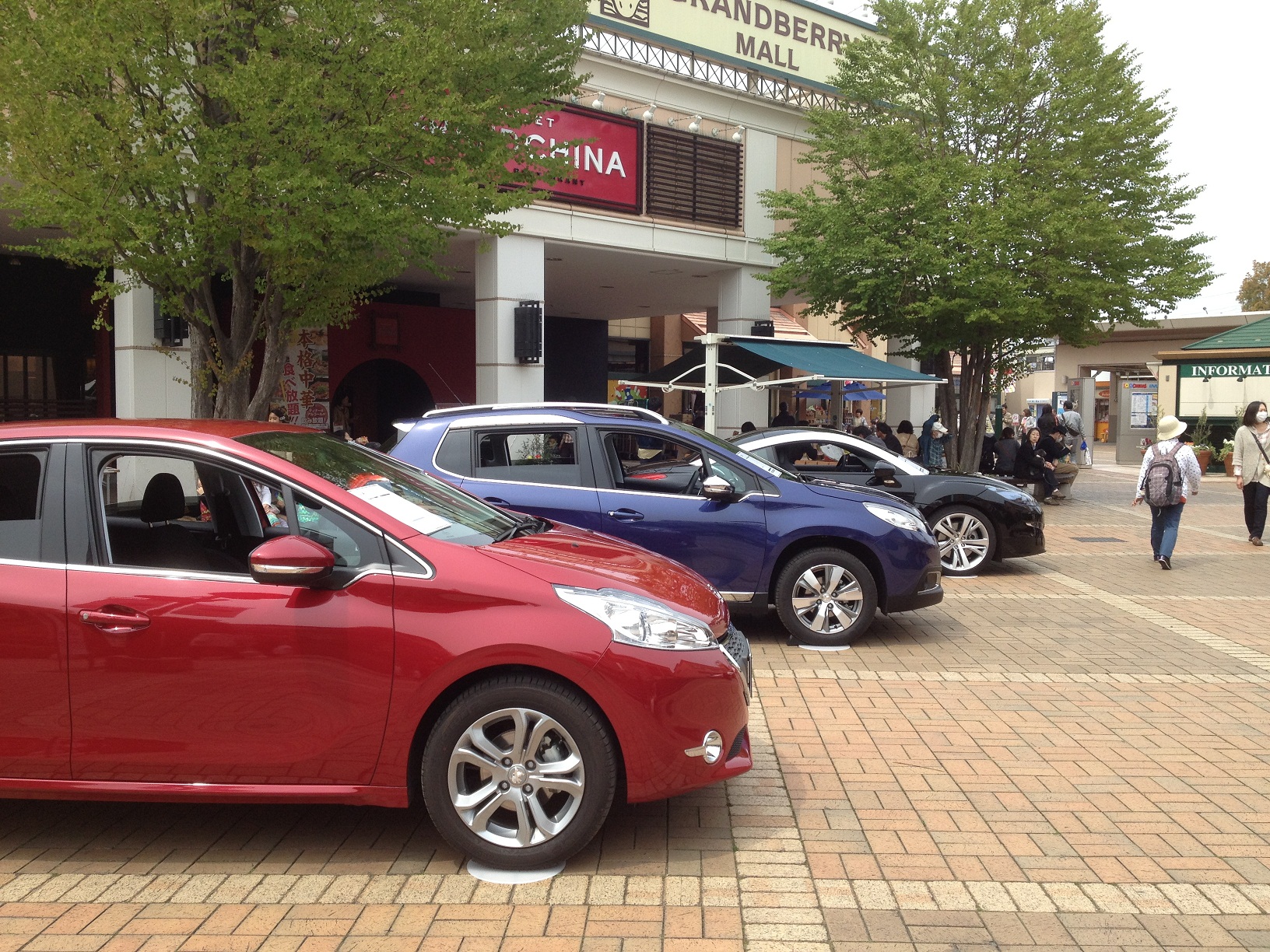 ♪　気持ちの良い春日和　♪