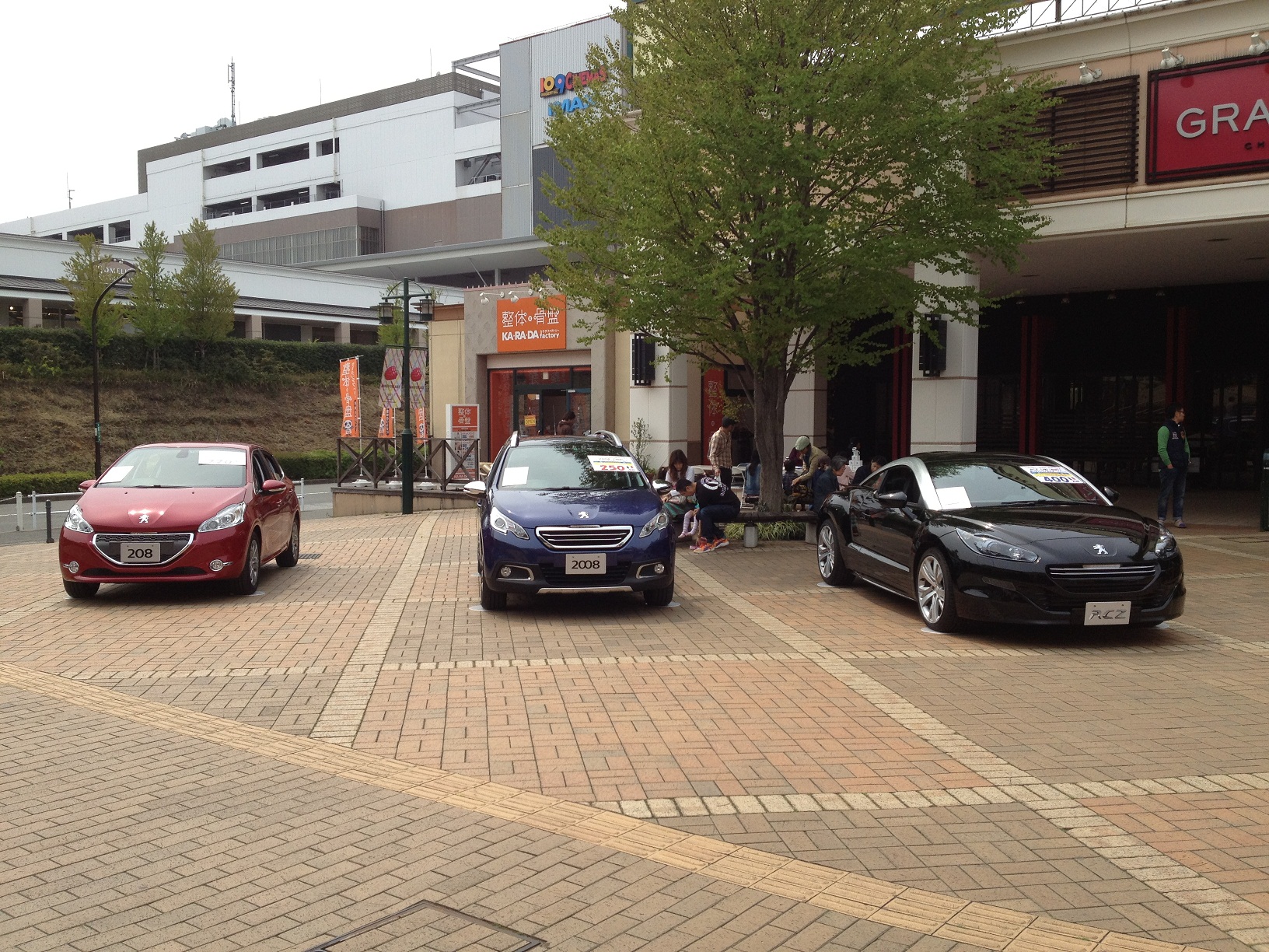 ♪　気持ちの良い春日和　♪