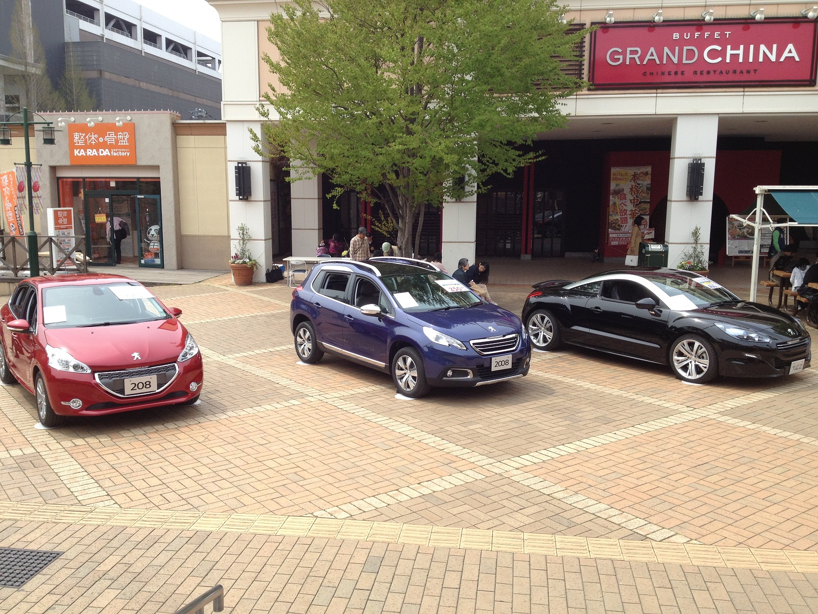 ♪　気持ちの良い春日和　♪