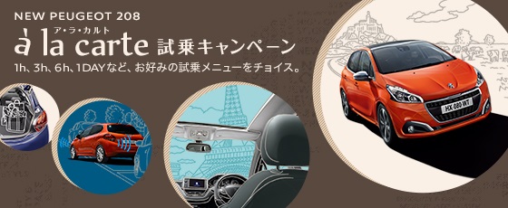 寒いですね・・・