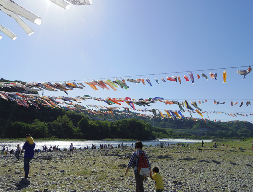 泳げ鯉のぼり相模川