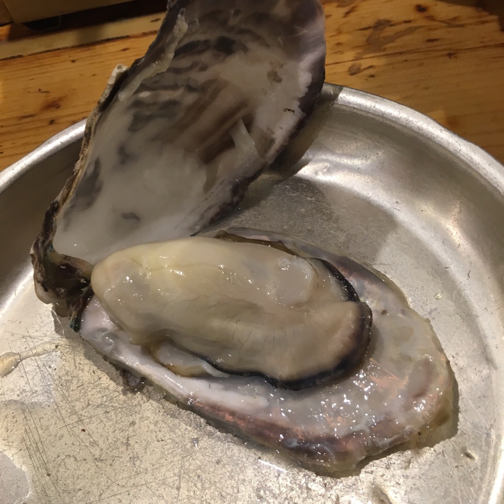 先日のお休みに!(^^)!