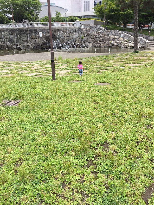 ピクニック！