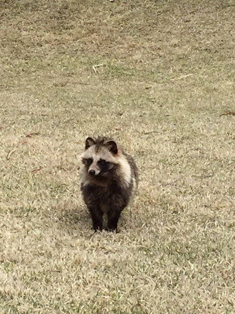 リフレッシュしました！
