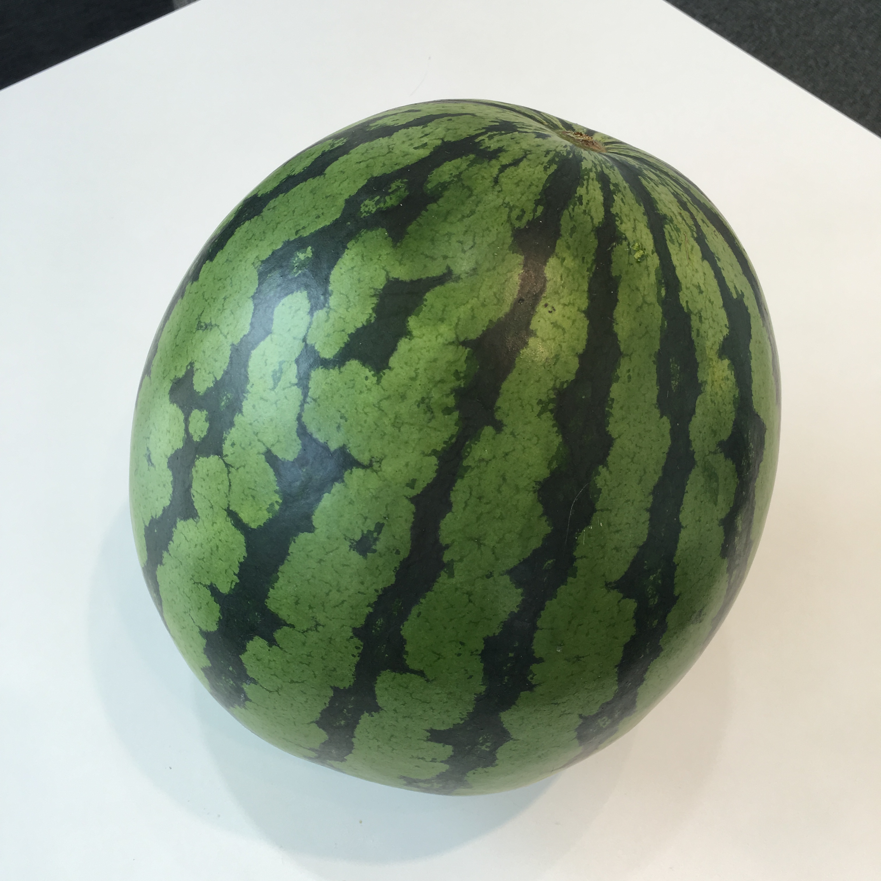 夏と言えば・・・