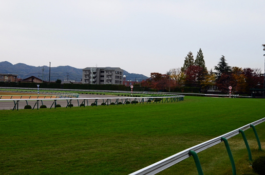 世界最高峰のレース