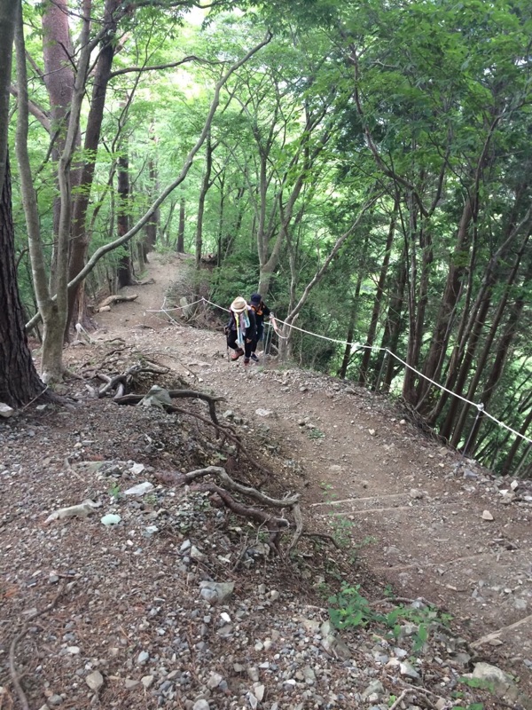 山登り♪