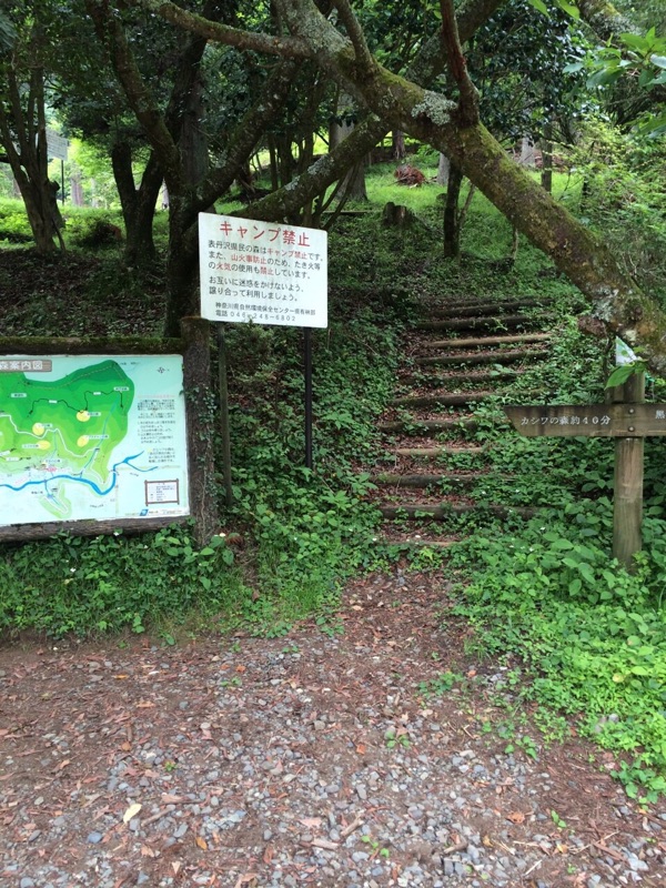 山登り♪