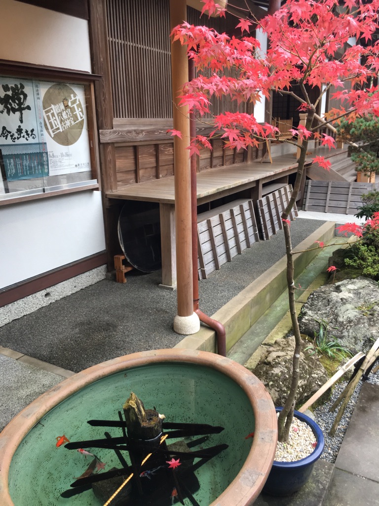 お散歩