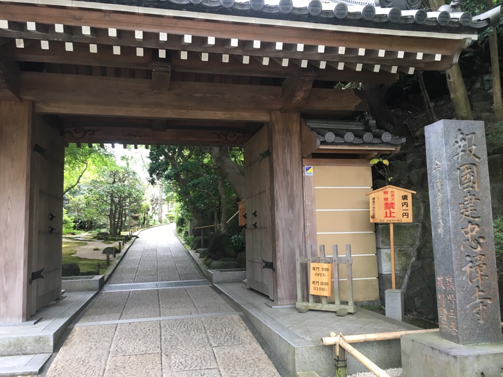 お散歩