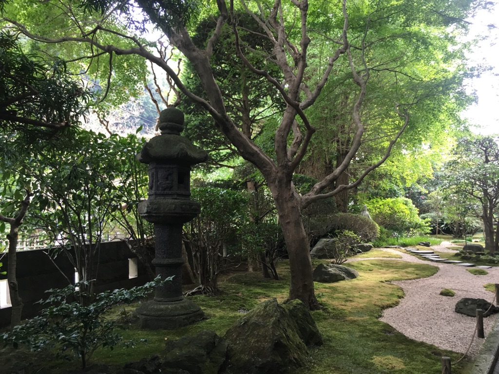 お散歩