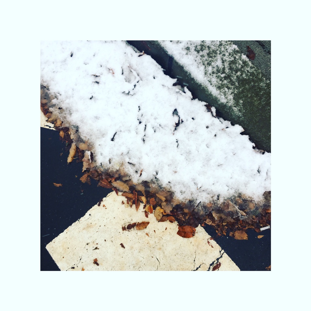 初雪！！