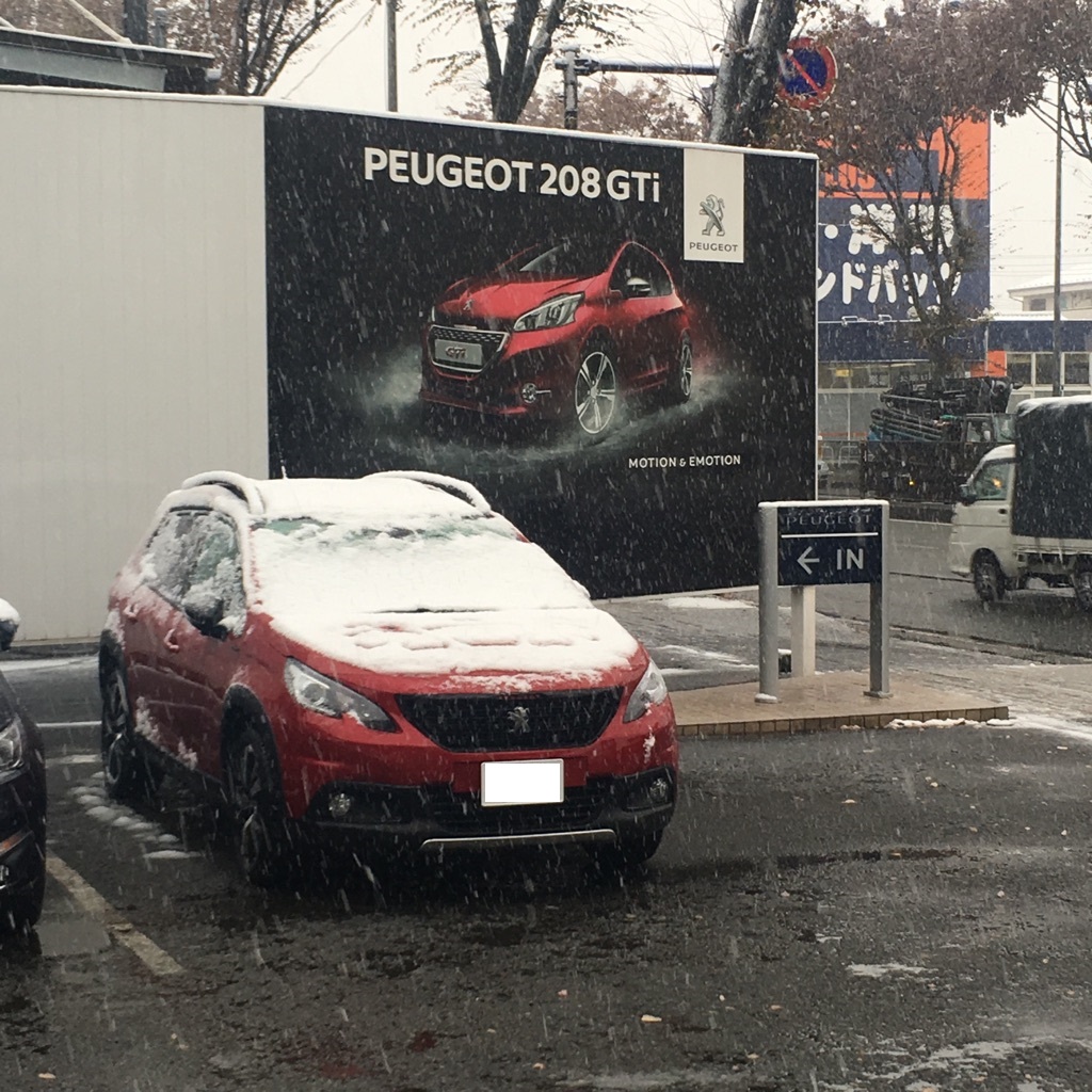 初雪！！