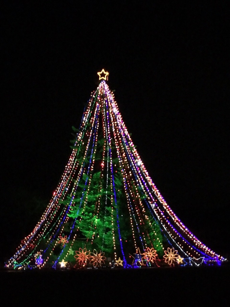 ☆MERRY  CHRISTMAS☆