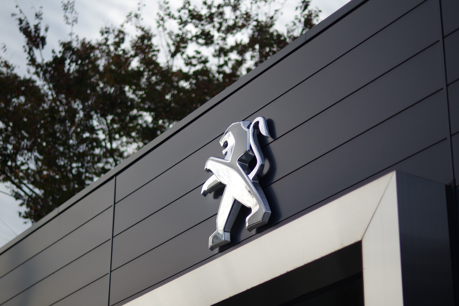 サービスもキャンペーン開催！