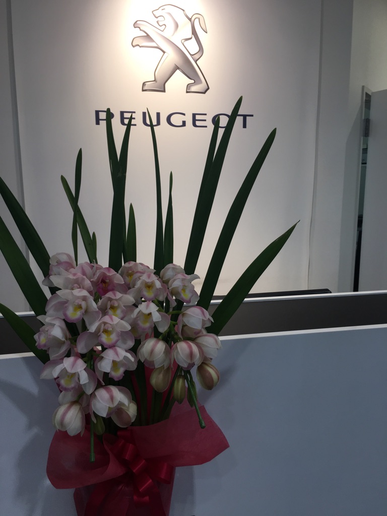 サプライズ！！