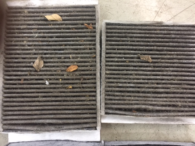 要チェックです