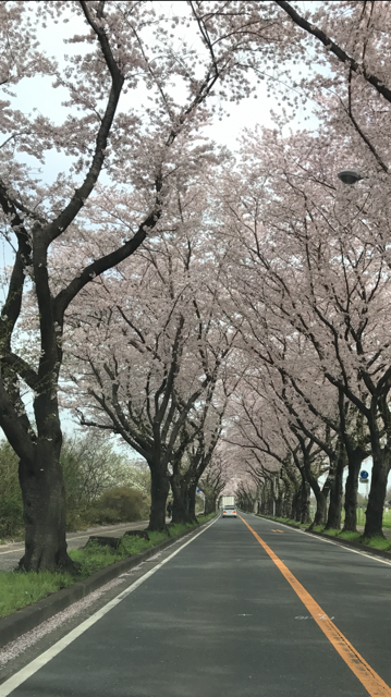 通勤路