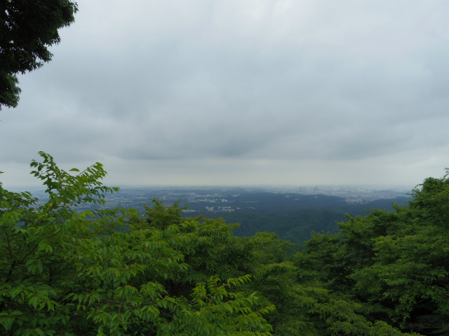 プジョーお出かけガイド！　高尾山