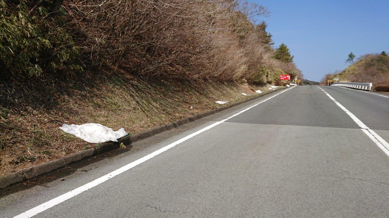 箱根に桜を見に行ってきました。　が…