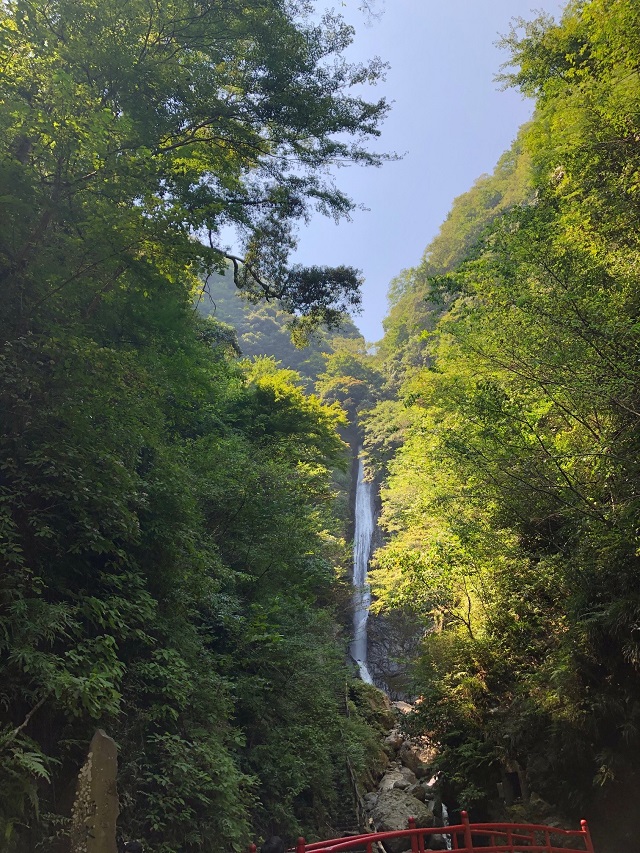滝