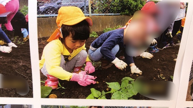 芋ほり