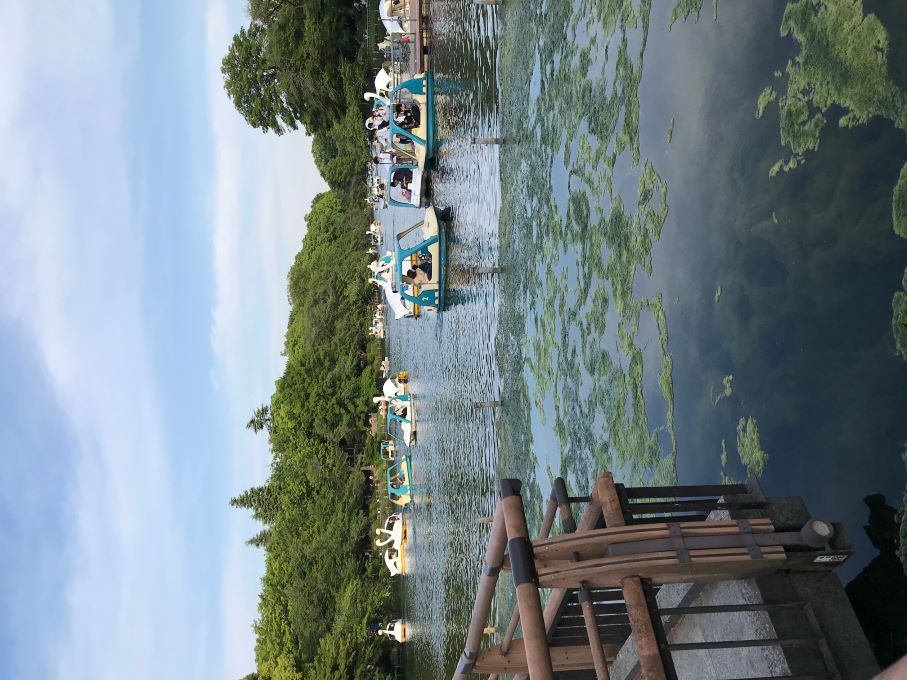 井の頭公園