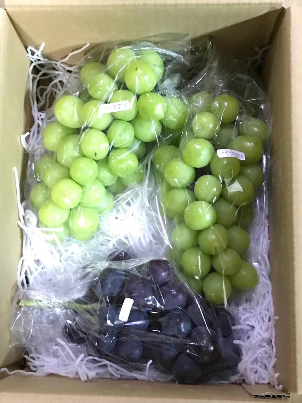 ぶどう🍇