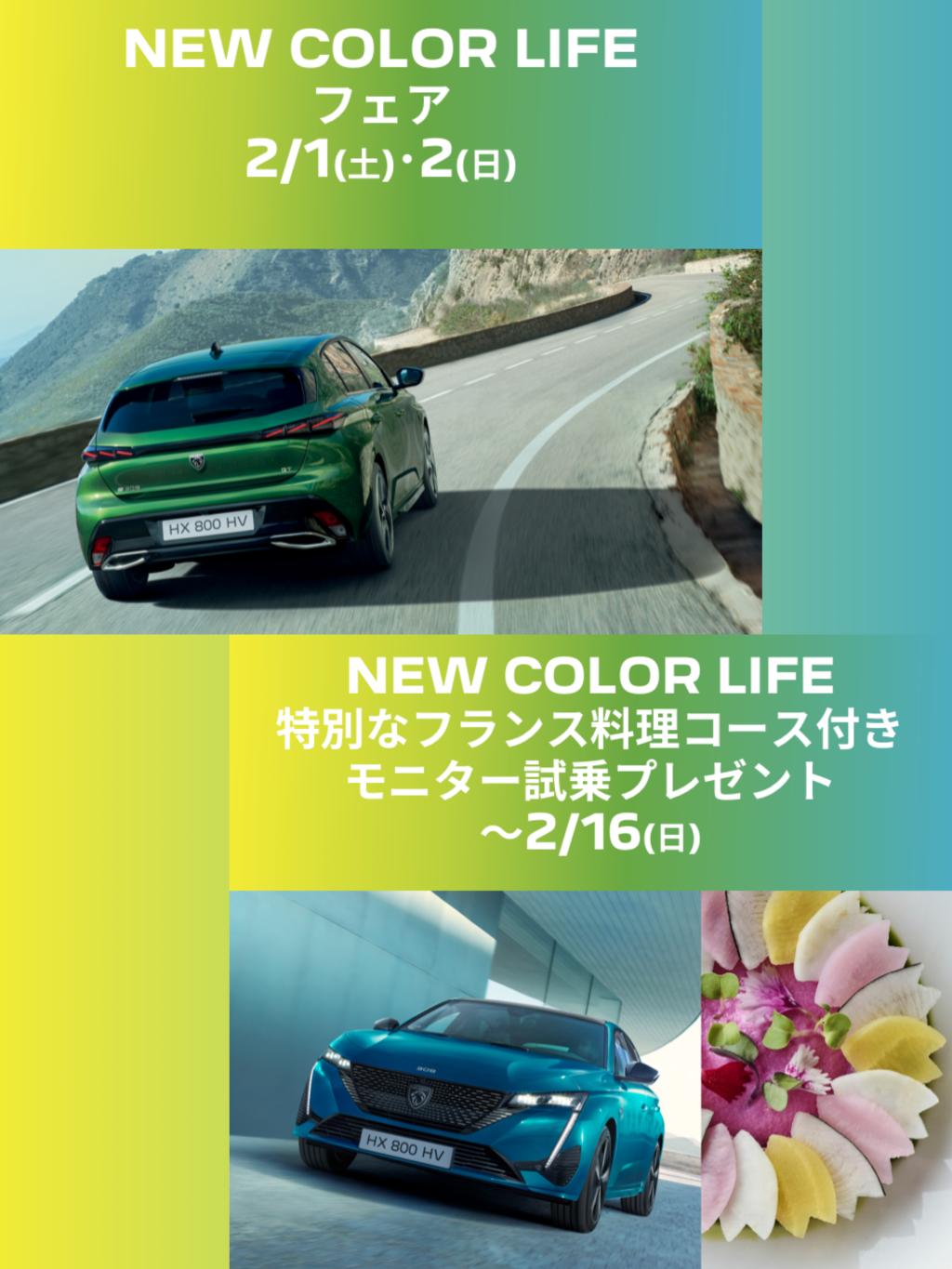 ★NEW COLOR LIFE★