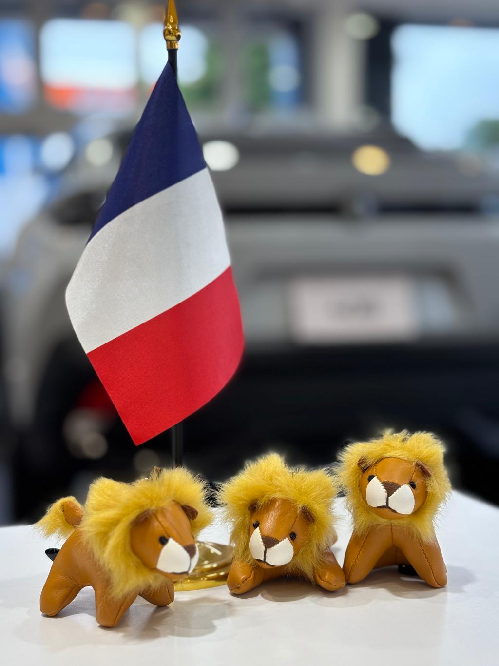 Petit Lion Lifeフェア