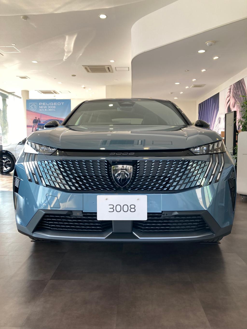 new3008