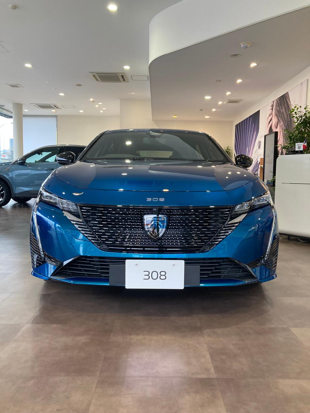 展示車ご案内