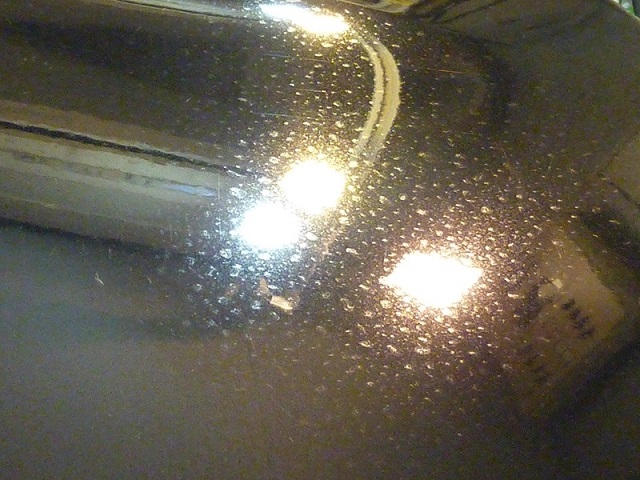 車の天敵…