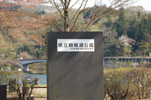 相模湖！！