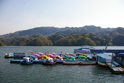 相模湖！！