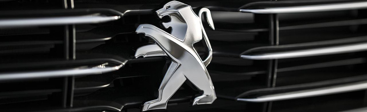 大試乗会開催！