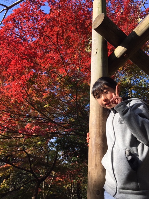 アスレチック