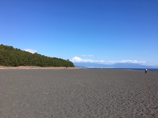 今年もよろしくお願いいたします