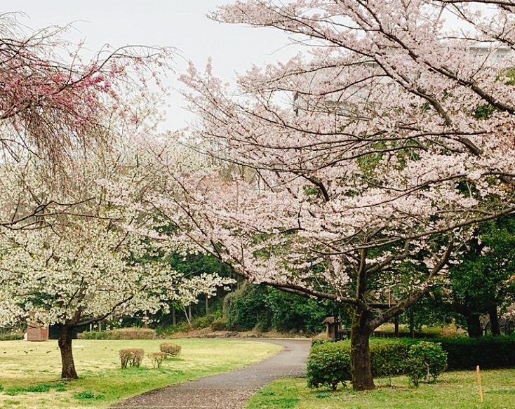 本日まで時短営業です。