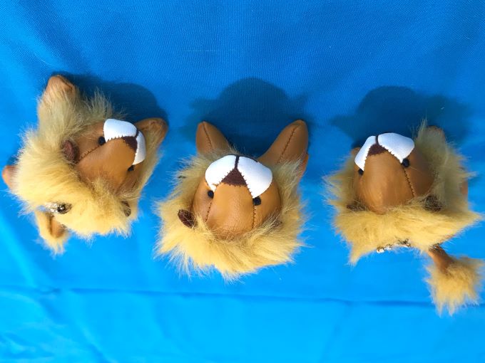 LITTLE　LION　フェア