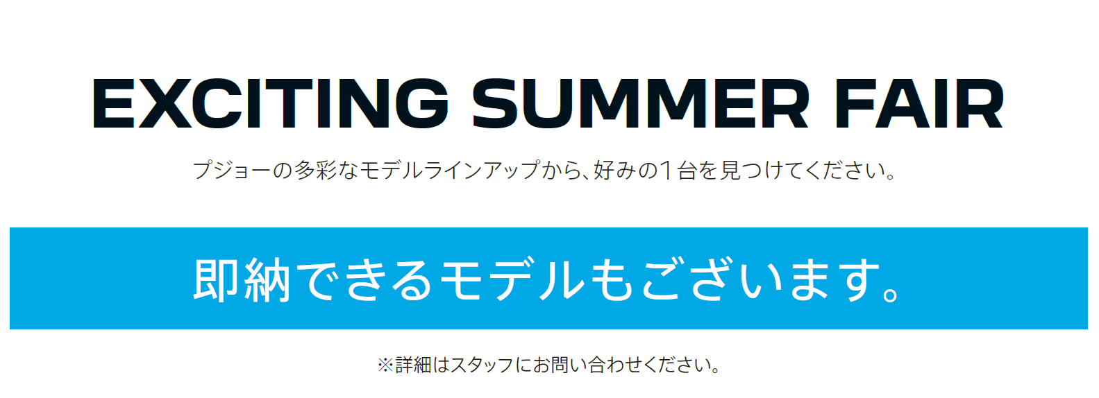 SUMMER LION FAIR
