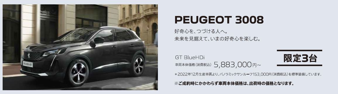 PEUGEOT 3008 /
