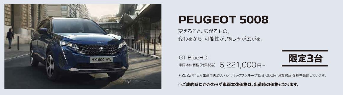 PEUGEOT 5008 /