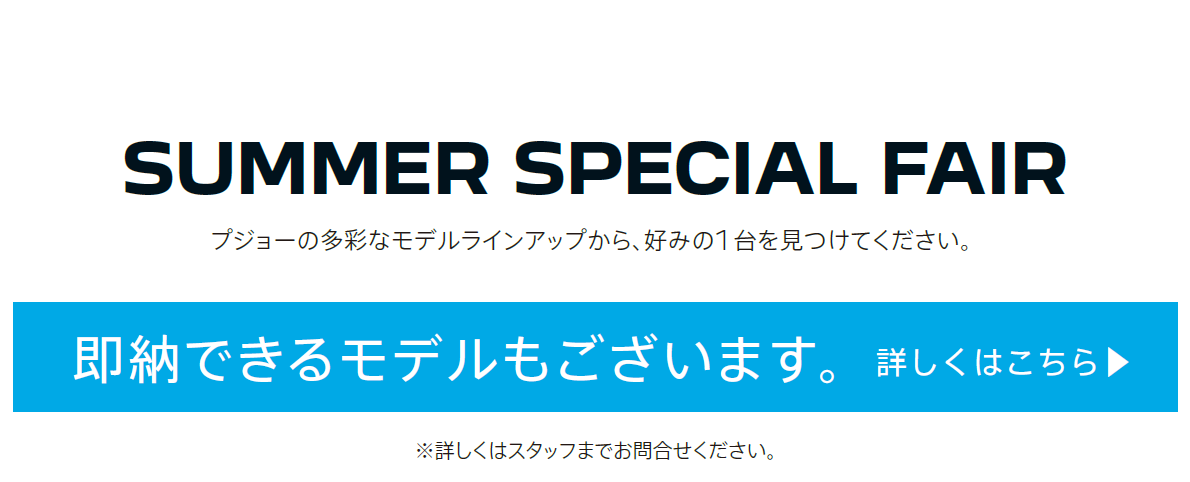 SUMMER LION FAIR